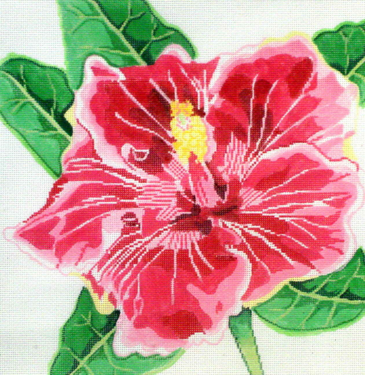 Flaming Hibiscus (handpainted from Jean Smith) Flaming Hibiscus (handpainted from Jean Smith)