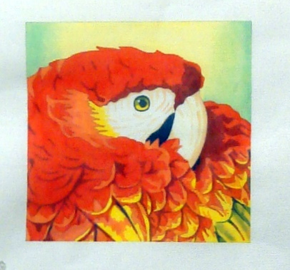 Scarlet Macaw Close Up     (handpainted needlepoint canvas from Alice Peterson)