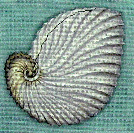 Nautilus  (handpainted by Melissa Shirley)