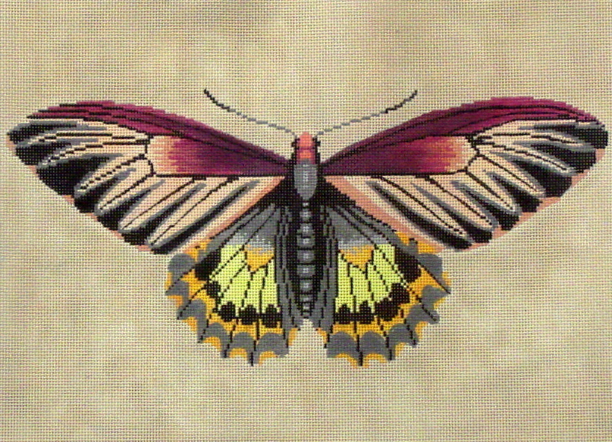 Moth (Magenta, Green, Yellow (Handpainted by the Meridith Collection)