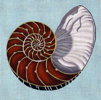 Cut Nautilus  (Handpainted by Melissa Shirley)
