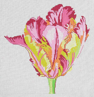 Regal Parrot Tulip   (Handpainted by Jean Smith)