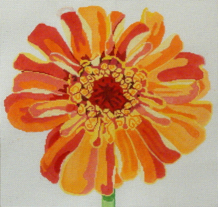 Regal Orange Zinnia   (Handpainted by Jean Smith)