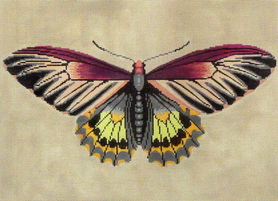 Moth (Magenta, Green, Yellow (Handpainted by the Meridith Collection)*Product may take longer than usual to arrive*