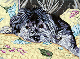 Wellington the Havanese   (Handpainted by Barbara Russell Designs)