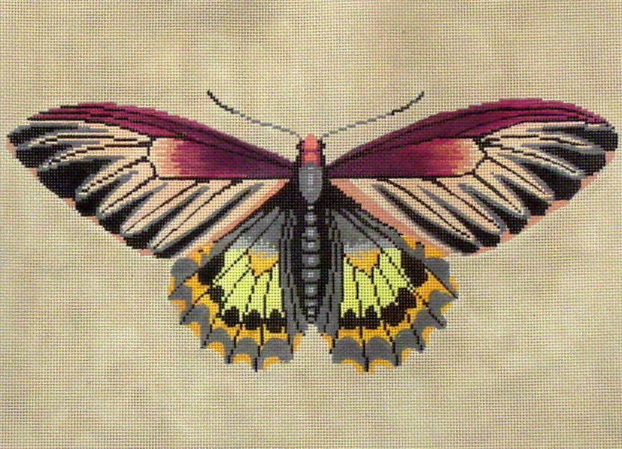 Moth - Magenta, Green, Yellow  (Handpainted by The Meredith Collection)