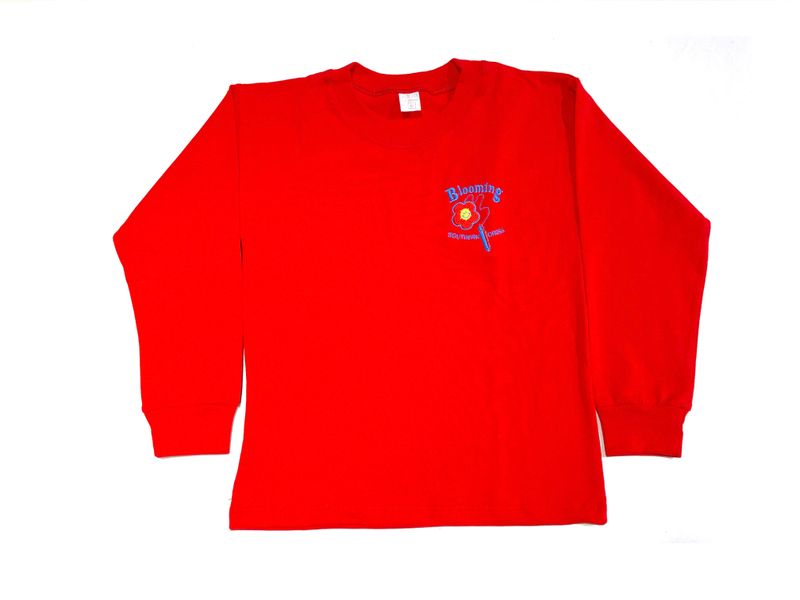Remera manga larga