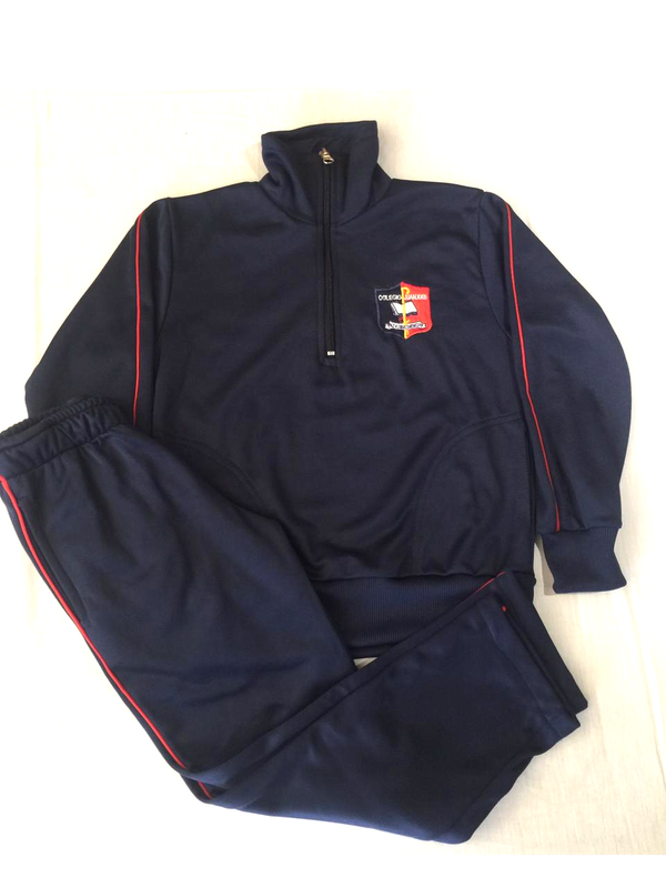 Equipo buzo y pantalon