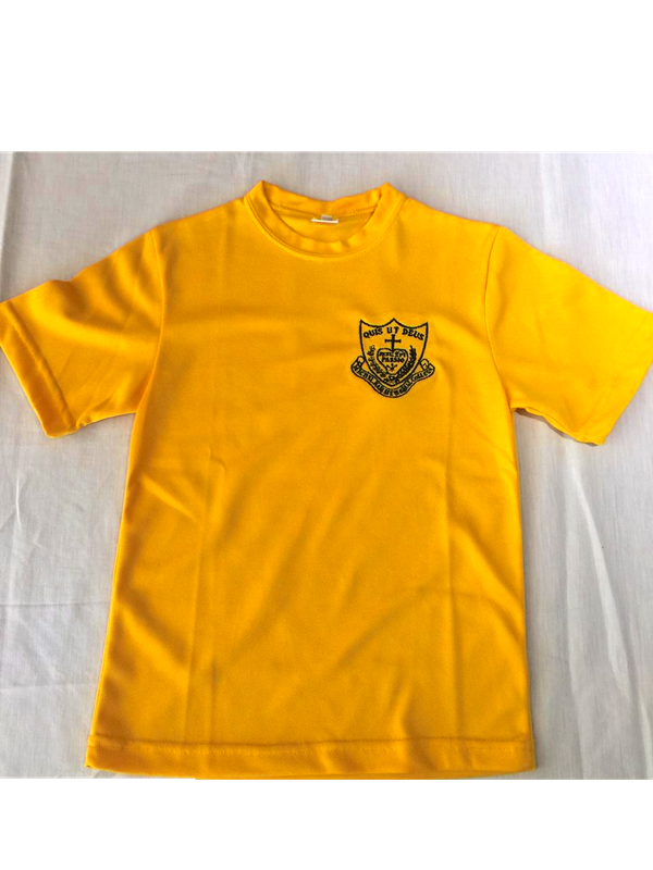 Remera house amarilla