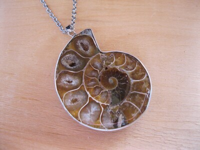 Ammonite Stone Necklace #0YL329