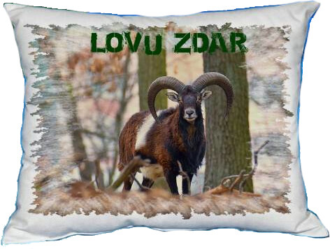 Polštářek Muflon Polštářek Muflon