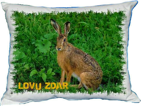 Polštářek Zajíc Polštářek Zajíc