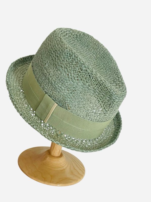Short-simmed Fedora hat