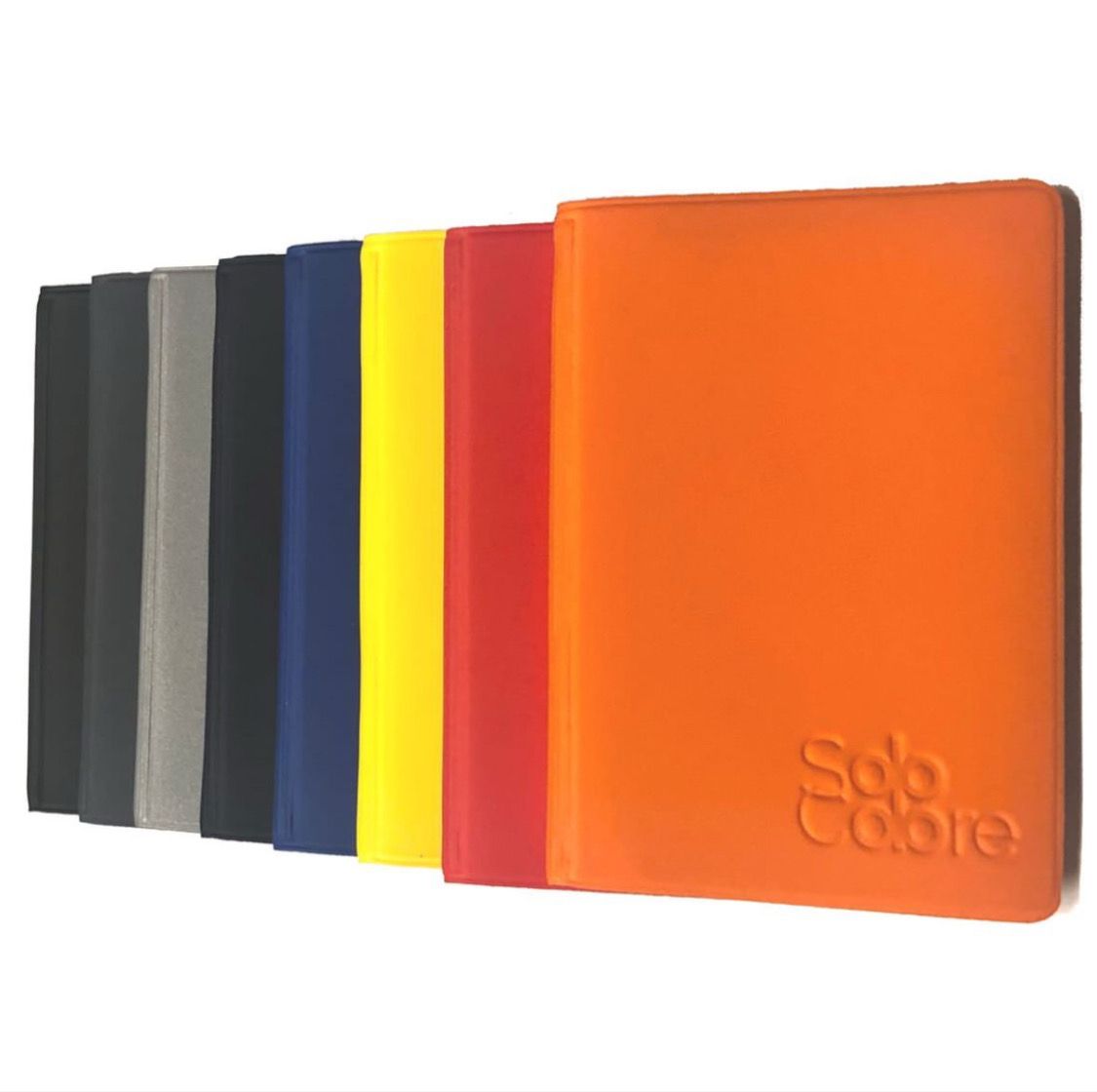 ALPLAST Pluricard scudo color