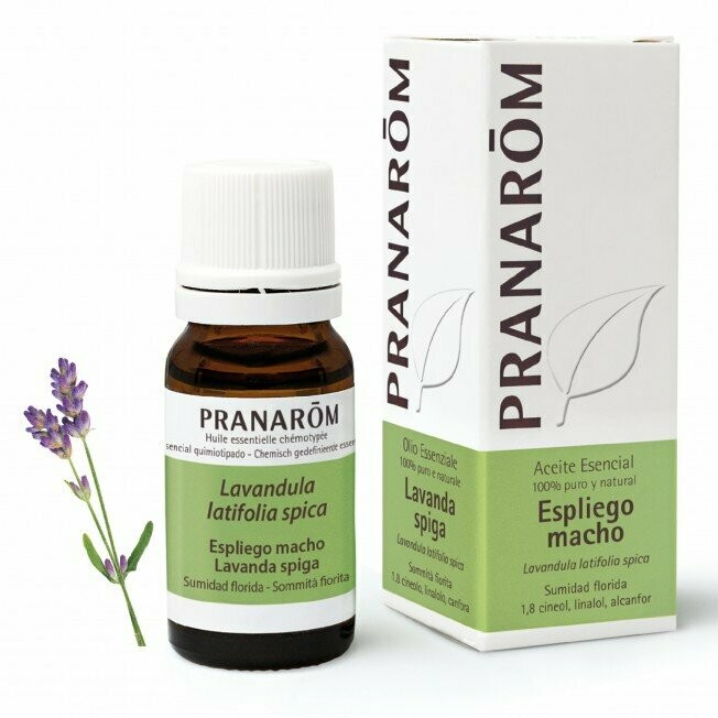 ACEITE ESENCIAL ESPLIEGO MACHO 10ML (LAVANDA ASPIC)
