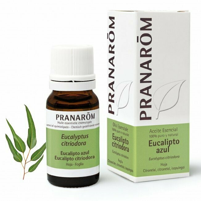 ACEITE ESENCIAL EUCALIPTO AZUL 10ML PRANAROM