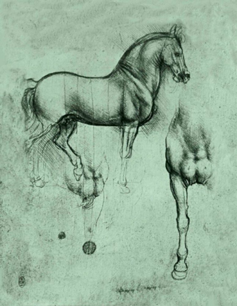LE CHEVAL - LEONARD DE VINCI