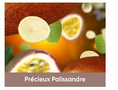 Recharge Lampe Précieux Palissandre 500ml

-  Maison Berger