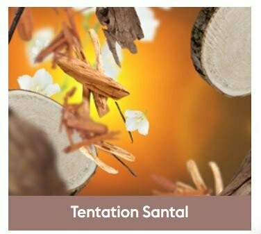 Recharge Lampe Tentation Santal 500ml
-  Maison Berger