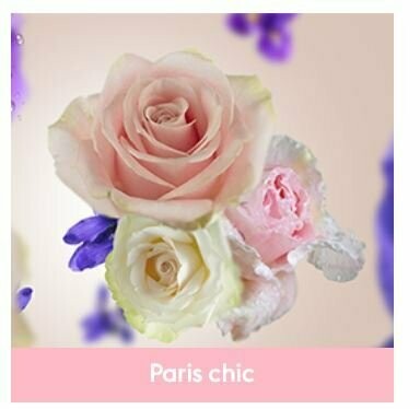 Recharge Lampe Paris Chic 500ml  -  Maison Berger