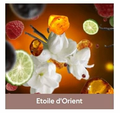 Recharge Lampe Étoile d'Orient 500ml
-  Maison Berger