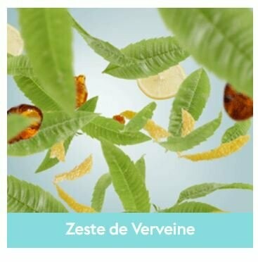 Recharge Lampe Zeste de Verveine 500ml

-  Maison Berger