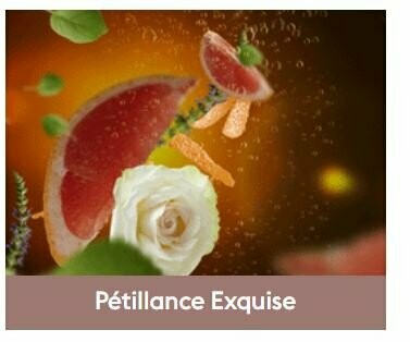 Recharge Lampe Pétillance Exquise 500ml -  Maison Berger
