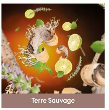 Recharge Lampe Terre Sauvage  500ml
-  Maison Berger