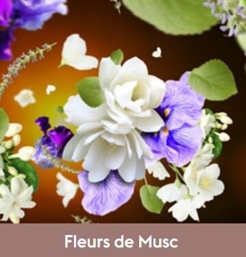 Recharge Lampe Fleurs de Musc 500ml - Maison Berger