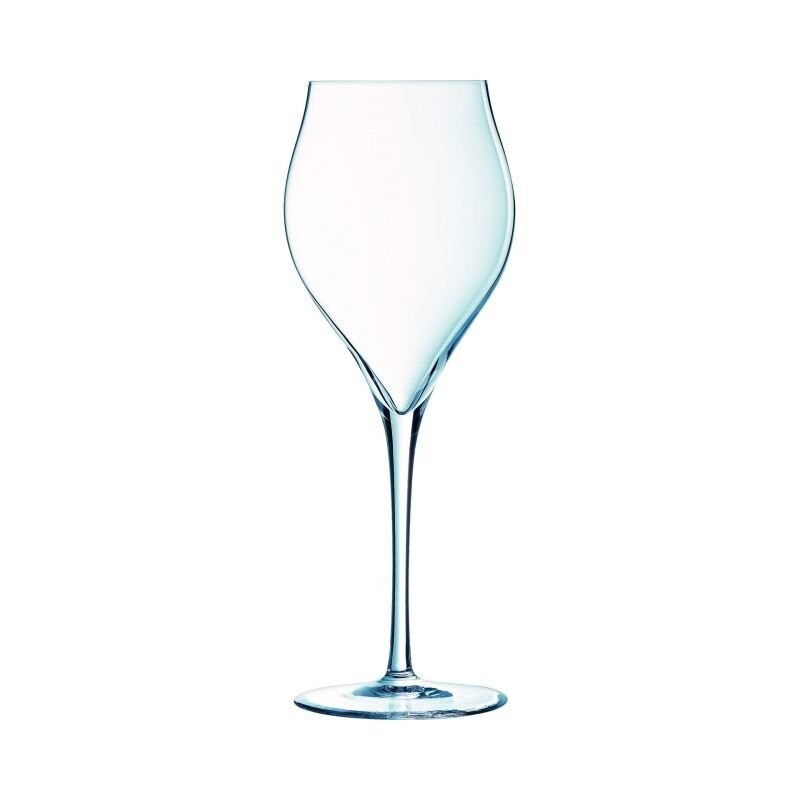 EXALTATION - 6 FLÛTES À CHAMPAGNE 30CL - CHEF & SOMMELIER