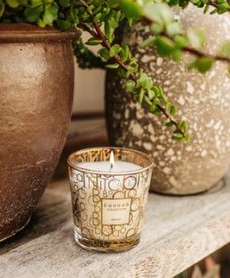 BOUGIE MY FIRST BAOBAB AURUM -  BAOBAB COLLECTION - Jasmin-Galbanum-Mus
