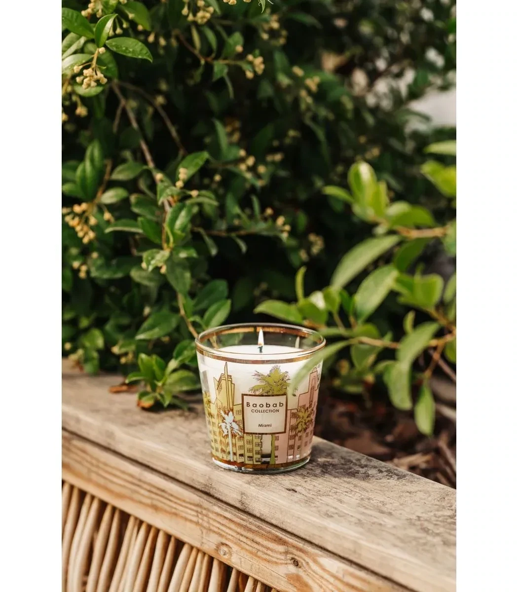 BOUGIE MY FIRST BAOBAB MIAMI - BAOBAB COLLECTION - Fleur de sel - Pin Maritime -Cyprès