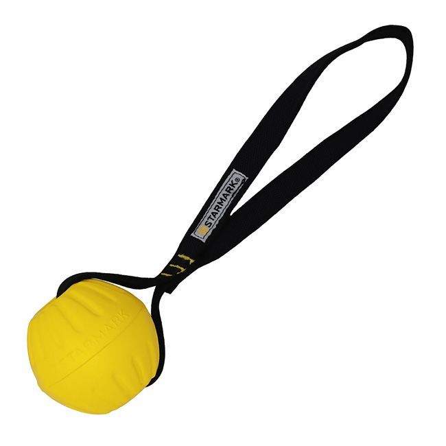 Starmark GripCord Durafoam Ball Loop Medium