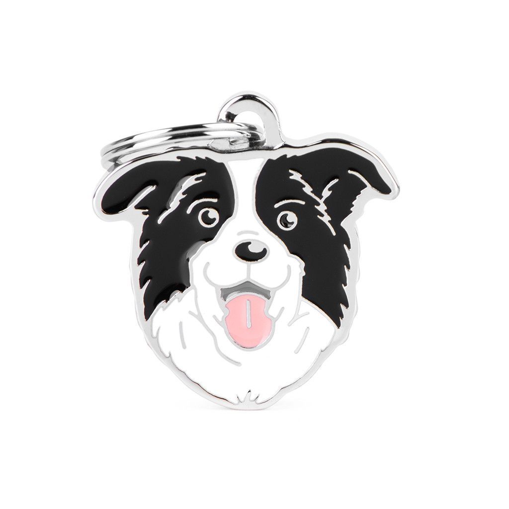 Friends Border Collie Plakette