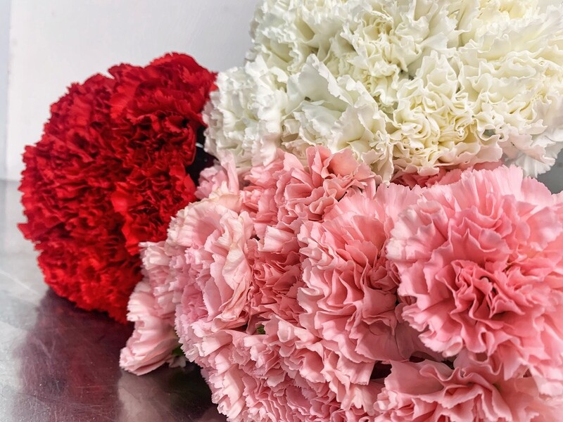 CARNATIONS (100 Stems) CARNATIONS (100 Stems)