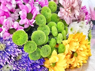 MUMS (5 Stems) MUMS (5 Stems)