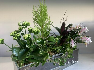 PLANTERS PLANTERS