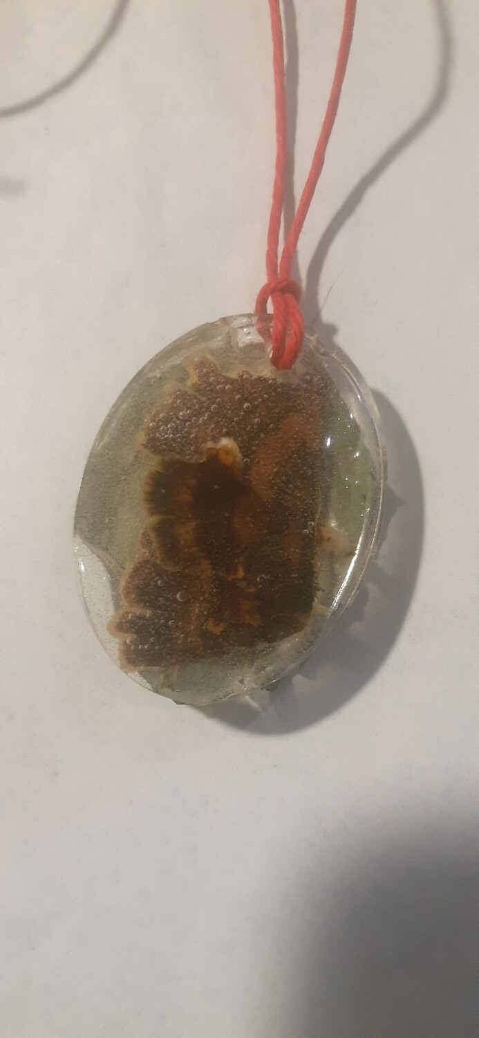 Turkey Tail/Plantain Pendent