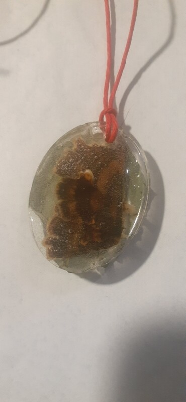 Turkey Tail/Plantain Pendent