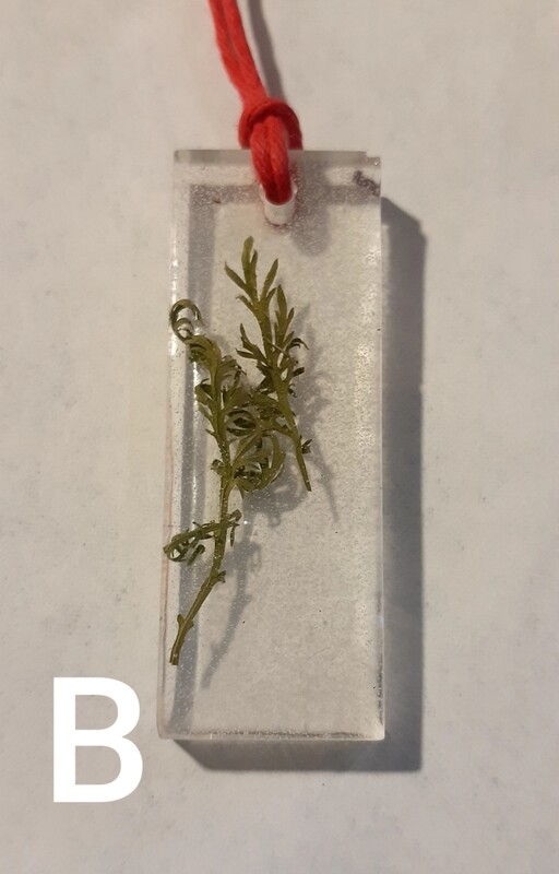 Plant Pendents