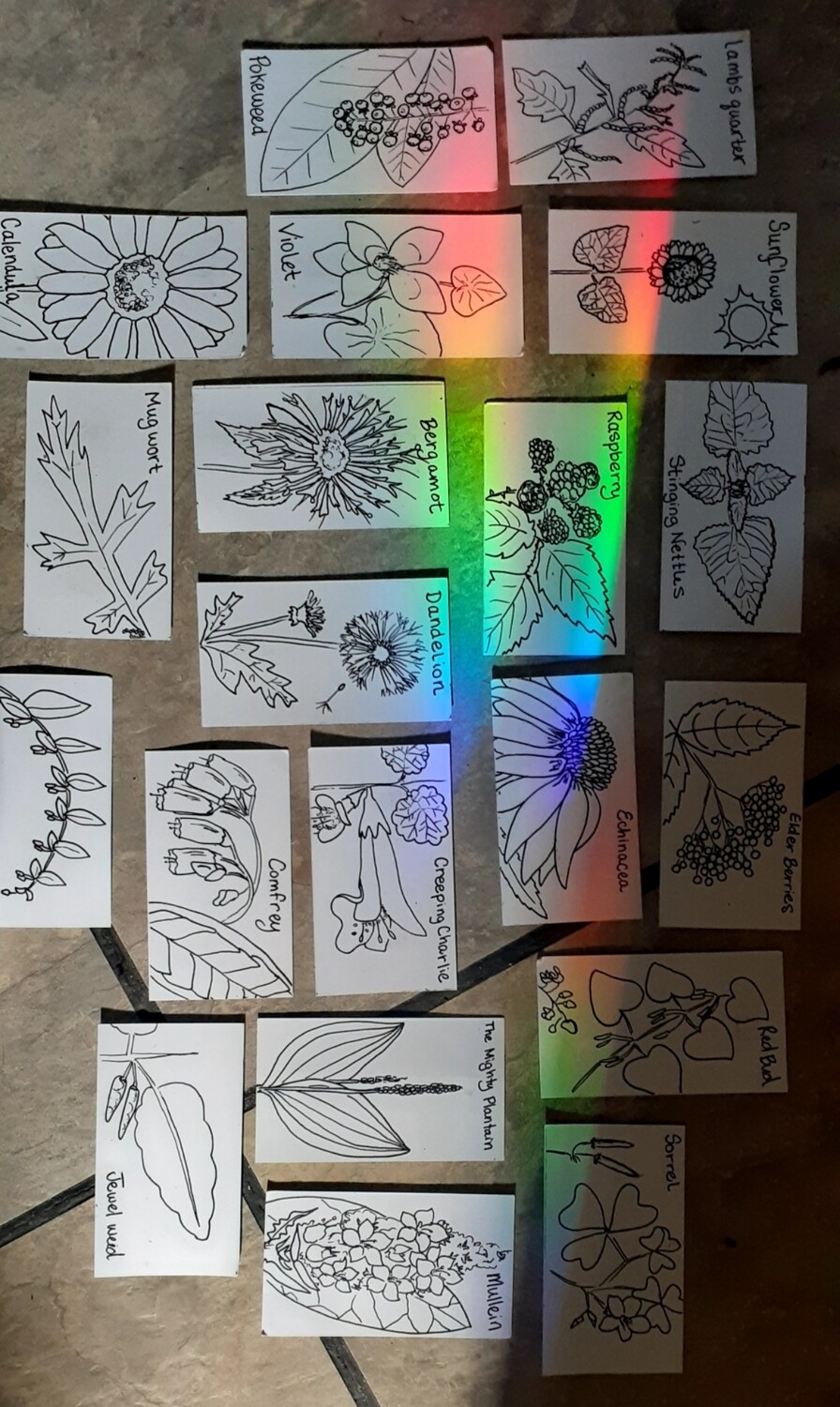 Plant Magnets