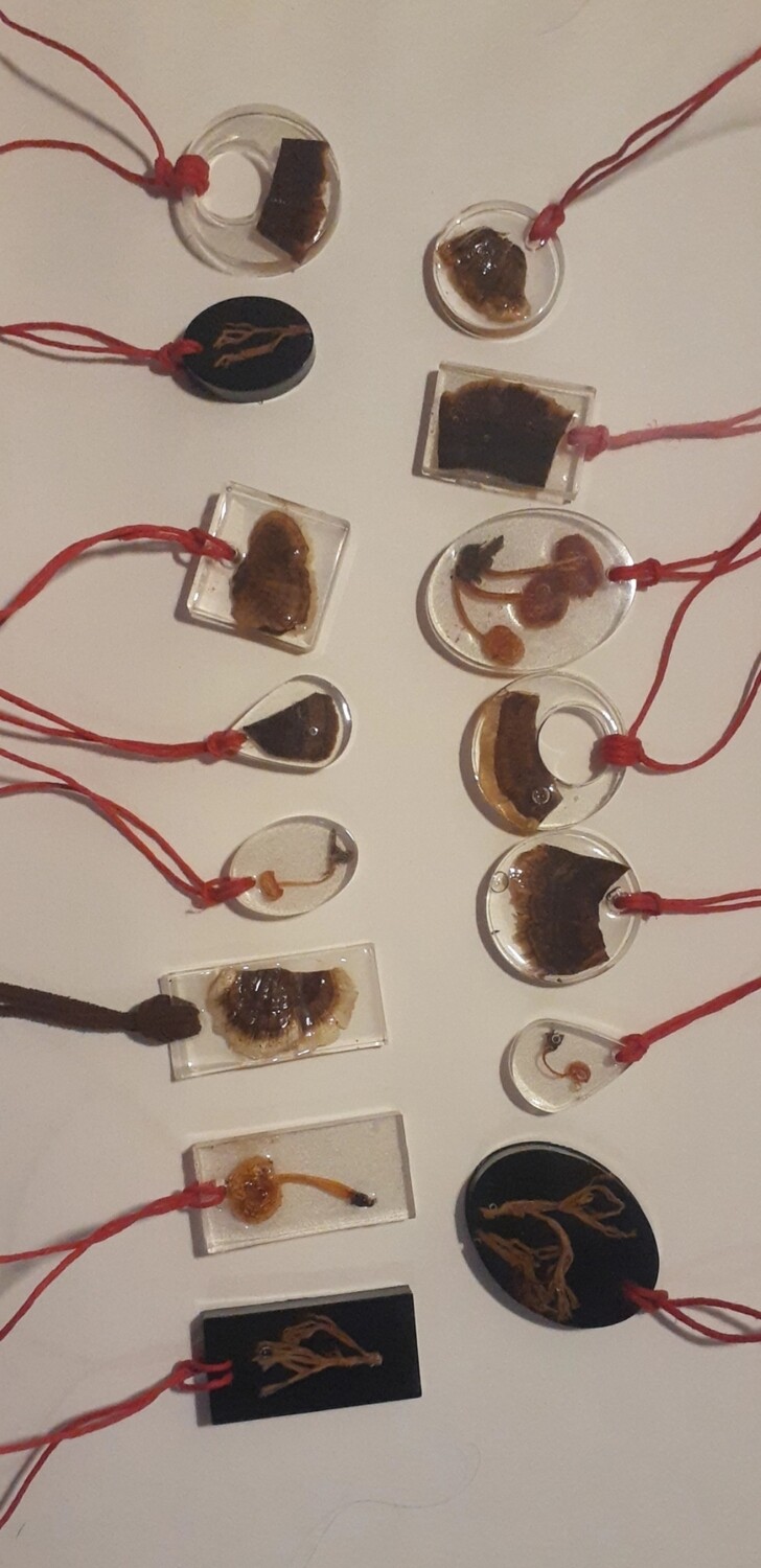 Mushroom Pendents