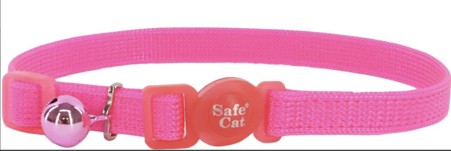 Safecat 2025