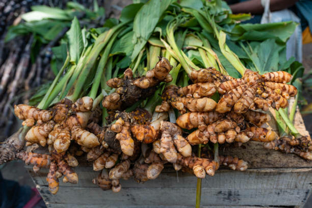 Anti-Inflammatory