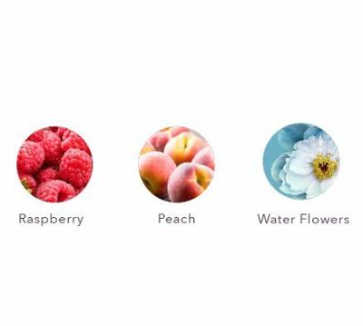 Pureology - Strength Cure Shampoing (1L)