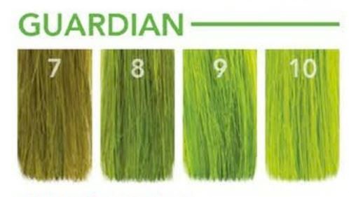 Pulp Riot - Fantasy - Guardian (118ml/4oz)