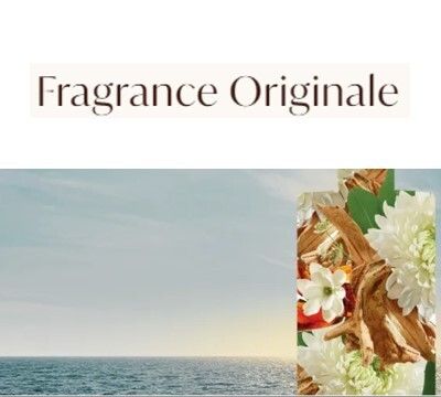 Moroccanoil - Corps - Fragrance Originale