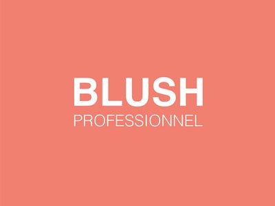 Blush Professionnel