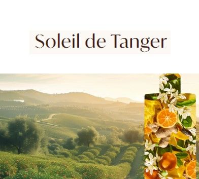 Moroccanoil - Corps - Soleil de Tanger