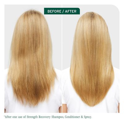 Biolage - Strength Recovery - Revitalisant Concentré Renforcateur (236ml)
